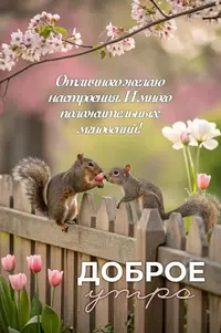 4_094243_405.webp