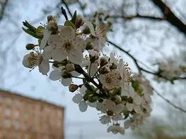 20260425193825.webp