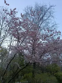 20260425200549.webp