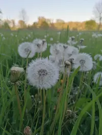 _20260426_.webp