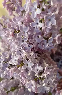 20260427-1534.webp