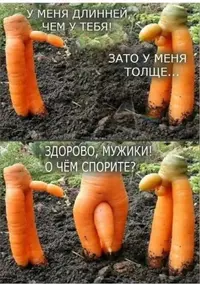 IMG_8556.webp