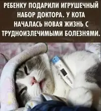 1777402266587.webp