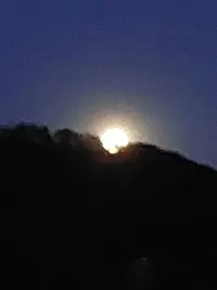 20260501_214218.webp