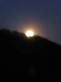20260501_214236.webp