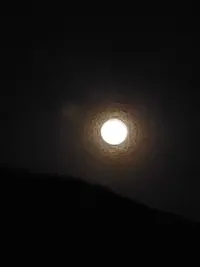 20260501_215332.webp