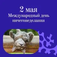4549230_900.webp