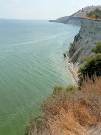 1000001149.webp