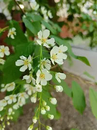 20260507132245.webp