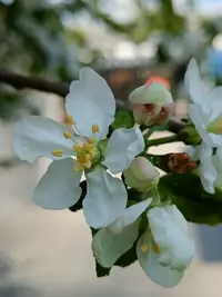 20260507133625.webp