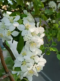 20260507133523.webp