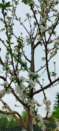 IMG20260508190436.webp