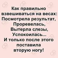 IMG_8729.webp
