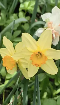 1778401335346.webp