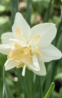 1778401368720.webp