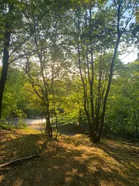 IMG_6471.webp