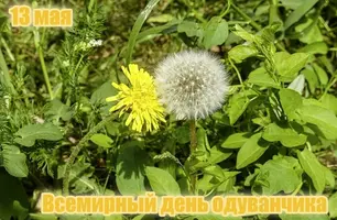 8761698.webp