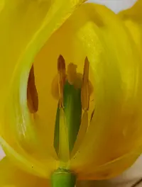 20260514-1501.webp