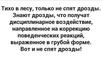 16_234835_349.webp