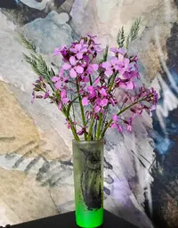 20260520-1119.webp
