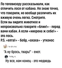 323_224932_923.webp
