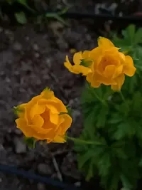 20260523212047.webp