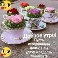 imgonline-com-ua-Resize-0aCGMrj4CuBDLTgh.webp
