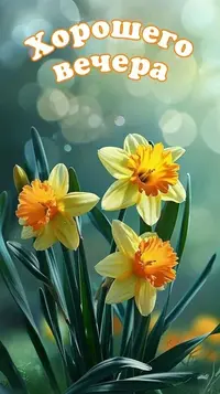 04_211256_982.webp