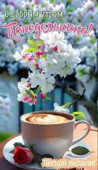 3_185633_521.webp