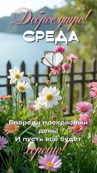 3_112149_138.webp