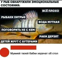 519_225057_770.webp