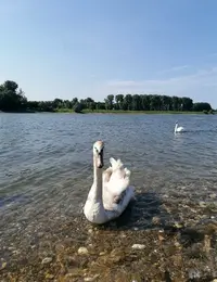 20260527_185846.webp