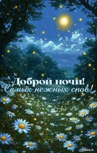 525_220247_892.webp