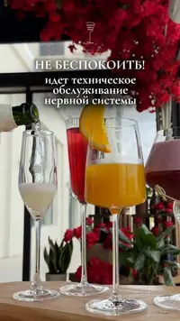 result_1000031310.webp