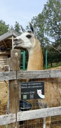 1780135099050.webp