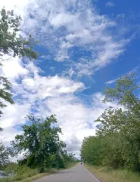 20260531-1345.webp