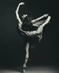 c6c9083149bf7d6e85db990b98abb0e9.webp