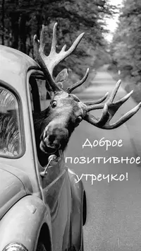 9c1d9e45dec540c9b3083e53557b13cb.webp