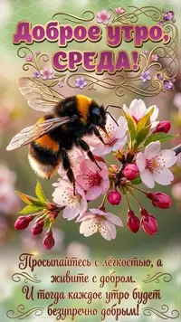 13_111903_804.webp