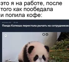 2_232740_906.webp