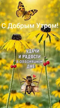 imgonline-com-ua-Resize-JCF64WVnp8WU6c.webp