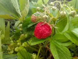 IMG20260610194941.webp