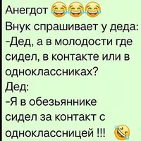 SaveClip.App_719970014_18147516427503566_462574601552165004_n_640.webp
