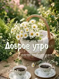 SaveClip.App_705968749_18096782429130859_768089141336542719_n_640.jpg.webp
