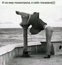 IMG_9130.webp