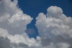 1000650360.webp