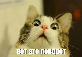 575985a3b06e43ac640f842177ad2ecb.webp