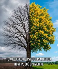 IMG_20260618_125842.webp