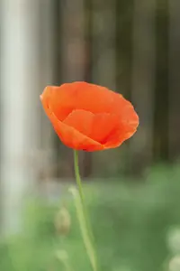 1000650846.webp