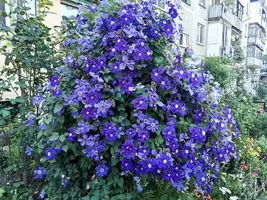 imgonline-com-ua-Resize-nGwpidBbXSjHWxy.webp